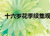 十六岁花季续集观看（十六岁的花季续集）