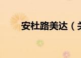 安杜路美达（关于安杜路美达介绍）