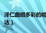 泽仁曲措多彩的哈达视频（泽仁曲措多彩的哈达）