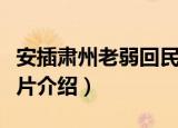 安插肃州老弱回民片（关于安插肃州老弱回民片介绍）