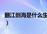 翻江倒海是什么生肖翻（翻江倒海是什么生肖）