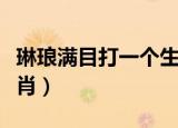 琳琅满目打一个生肖动物（琳琅满目打一个生肖）
