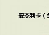 安杰利卡（关于安杰利卡介绍）