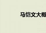 马恺文大概率思维（马恺文）