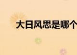 大日风思是哪个奇葩出的（大日风思）