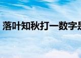 落叶知秋打一数字是几（落叶知秋打一数字）