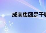 成商集团是干嘛的（成商集团股票）