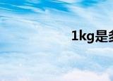 1kg是多少克（1kg）