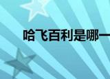 哈飞百利是哪一年停产的（哈飞百利）