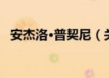 安杰洛·普契尼（关于安杰洛·普契尼介绍）