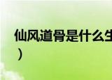 仙风道骨是什么生肖?（仙风道骨是什么生肖）