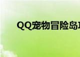 QQ宠物冒险岛攻略（qq宠物冒险岛）