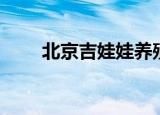 北京吉娃娃养殖基地（北京吉娃娃）