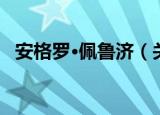 安格罗·佩鲁济（关于安格罗·佩鲁济介绍）