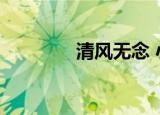 清风无念 小说（清风无念）