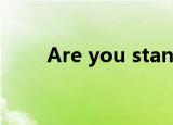 Are you stand 是什么意思?[滑稽]