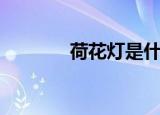 荷花灯是什么节日（荷花灯）