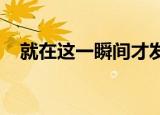 就在这一瞬间才发现你就在我身边的说说