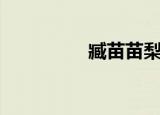 臧苗苗梨园春（臧苗苗）