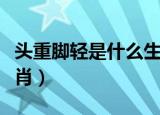头重脚轻是什么生肖动物（头重脚轻是什么生肖）