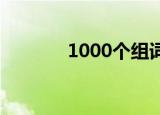 1000个组词（般组词100个）