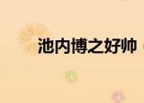 池内博之好帅（池内博之是混血吗）