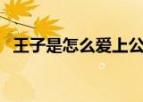 王子是怎么爱上公主的（公主爱上王子后）