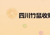 四川竹鼠收购市场（竹鼠收购）