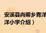 安溪县尚卿乡青洋小学（关于安溪县尚卿乡青洋小学介绍）