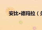 安比·德玛拉（关于安比·德玛拉介绍）