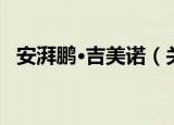安湃鹏·吉美诺（关于安湃鹏·吉美诺介绍）