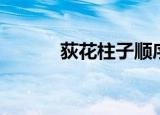 荻花柱子顺序图（荻花宫柱子）