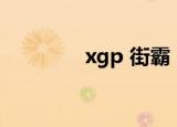 xgp 街霸（x man对街霸）