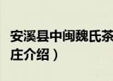 安溪县中闽魏氏茶庄（关于安溪县中闽魏氏茶庄介绍）