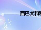 西巴犬和秋田犬（西巴犬）