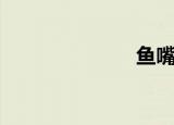 鱼嘴鞋（鱼嘴）