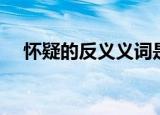 怀疑的反义义词是什么（怀疑的反义词）