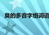 臭的多音字组词语组词（臭的多音字组词）