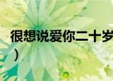 很想说爱你二十岁的青涩什么歌（很想说爱你）