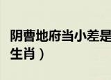 阴曹地府当小差是哪个生肖（阴曹地府指什么生肖）