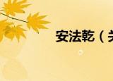安法乾（关于安法乾介绍）