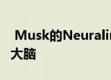  Musk的Neuralink将计算机芯片放入动物的大脑