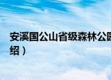 安溪国公山省级森林公园（关于安溪国公山省级森林公园介绍）
