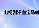 电视剧汗血宝马御马场（电视剧汗血宝马）