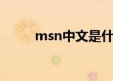 msn中文是什么意思（msn中文）