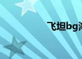 飞坦bg海苔（飞坦bg）