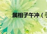 属相子午冲（子午相冲是什么生肖）