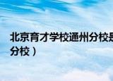 北京育才学校通州分校是公立还是私立（北京育才学校通州分校）