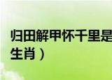 归田解甲怀千里是什么生肖（解甲归田是什么生肖）