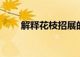 解释花枝招展的意思（解释的意思）